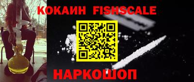 индика Гай