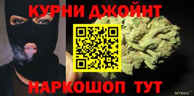 индика Гай