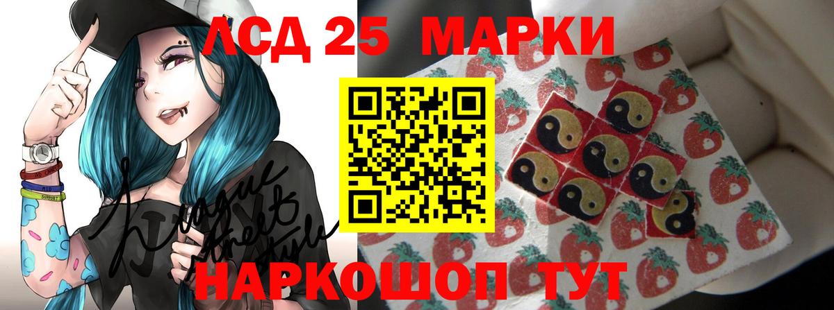 Курчалой  Лсд 25 экстази  Вход с VPN  LSD-25 экстази кислота 
