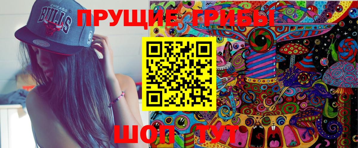Псилоцибиновые грибы прущие грибы  Вход с VPN  Курчалой 