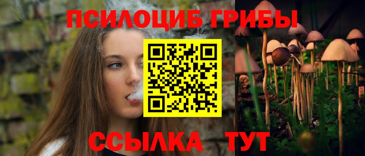 Галлюциногенные грибы Psilocybine cubensis Курчалой